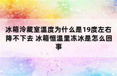 冰箱泠藏室温度为什么是19度左右降不下去 冰箱恒温里冻冰是怎么回事